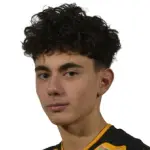 Adrian Briciu