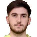 Alexandru Ailiesei