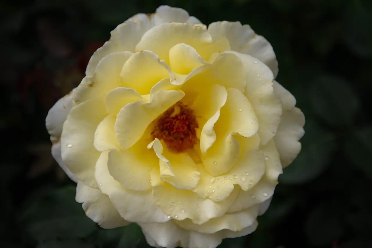 9 budgetvenlige byer at besøge i Rumænien