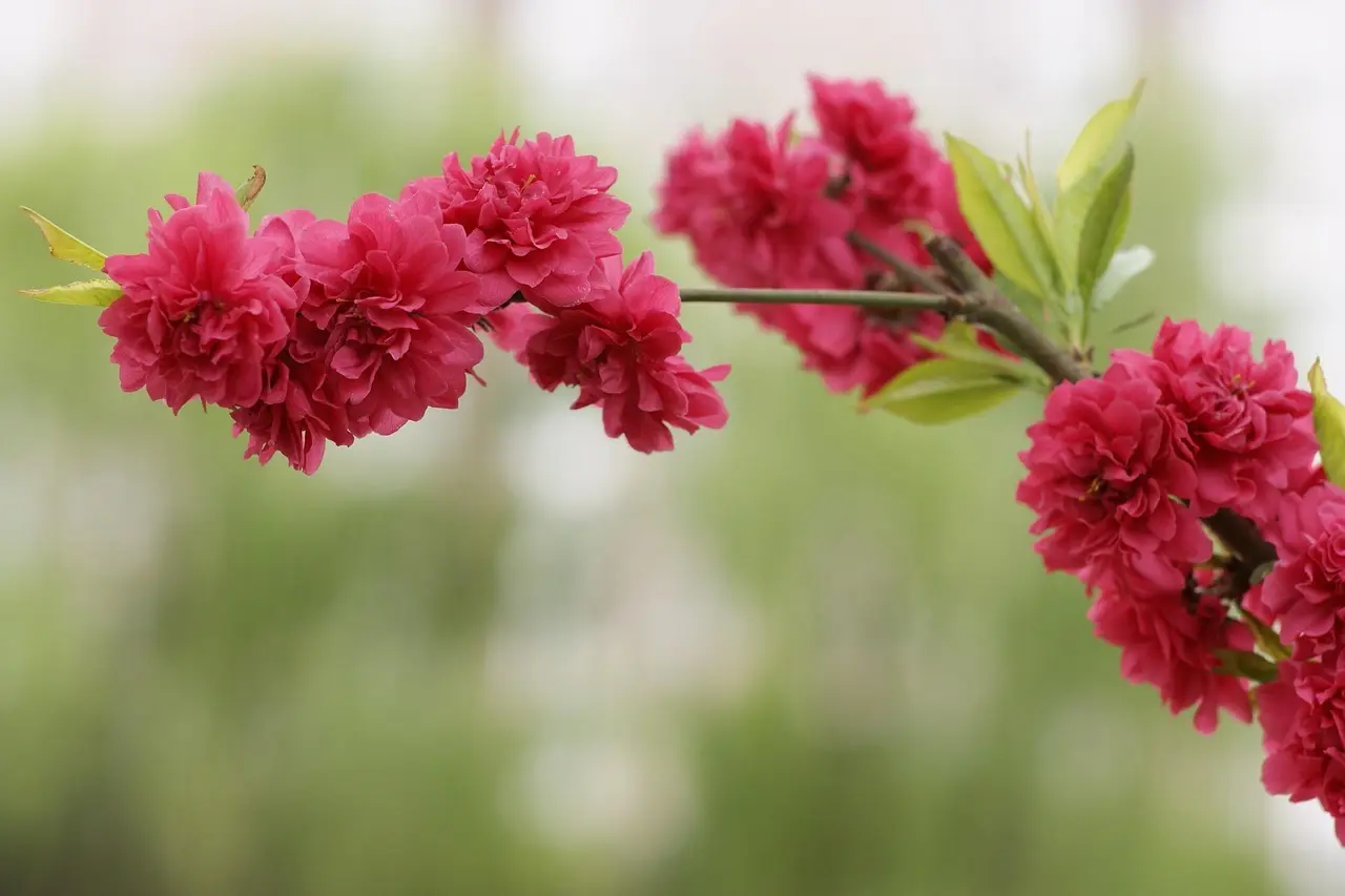 Er telefonnummer 70292444 spam?